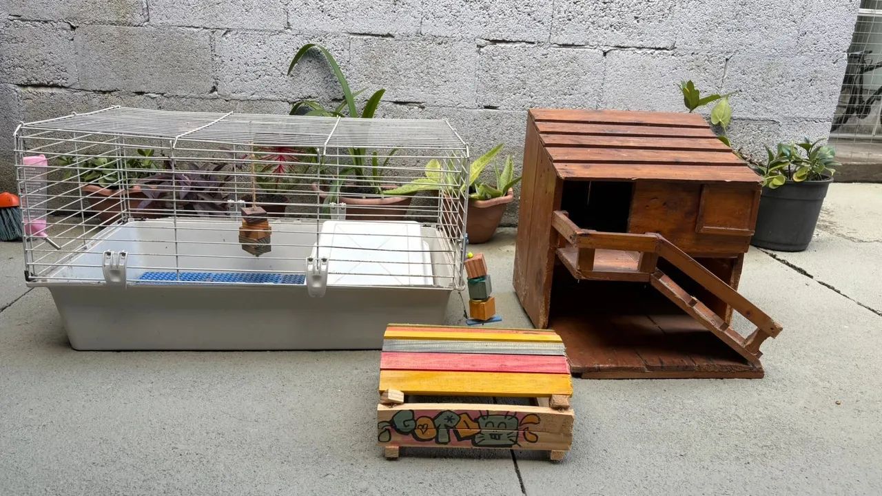 Gaiola para roedores com casinha de madeira e mais