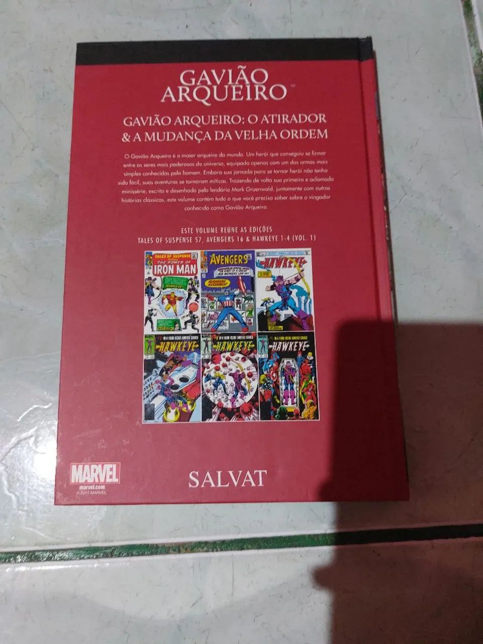 Gavião arqueiro Hq - Foto 2