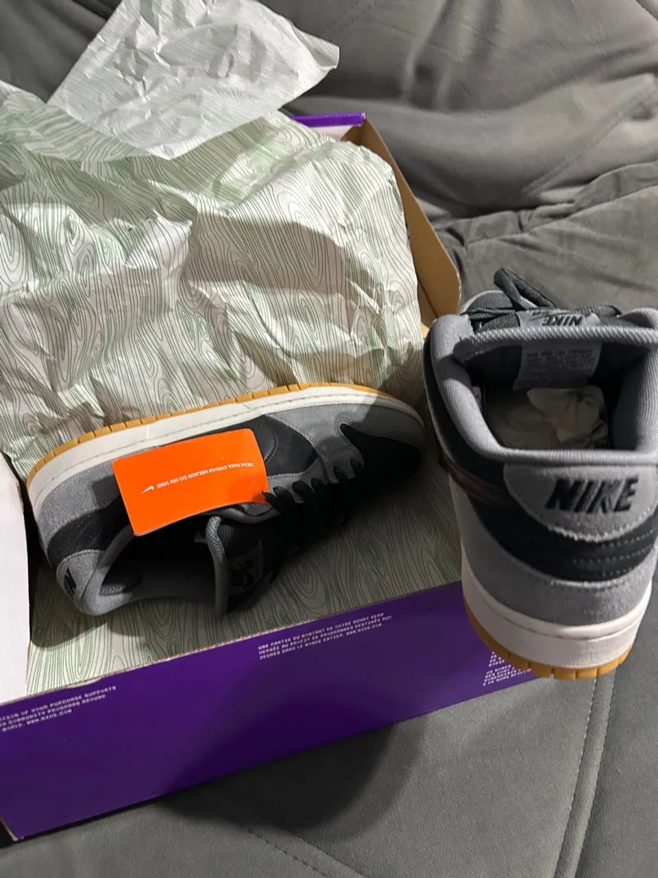Nike Dunk sb low pro