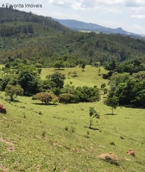 SITIO RURAL em PINHALZINHO - SP, CACHOEIRINHA