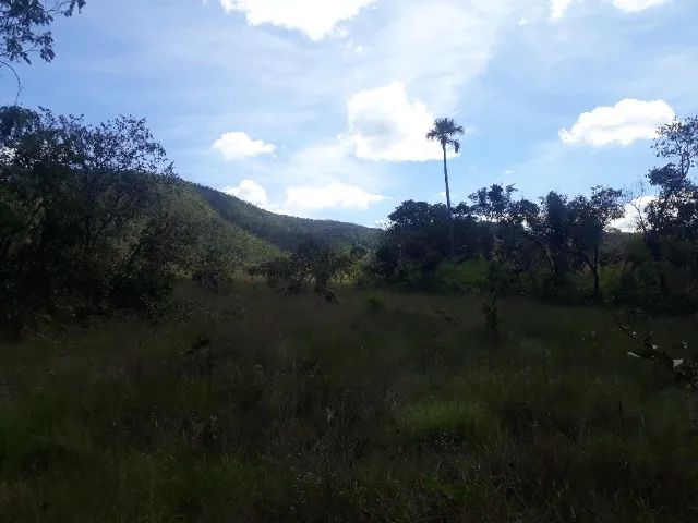 Fazenda de 580 hectares em Almas- Tocantins - Foto 2
