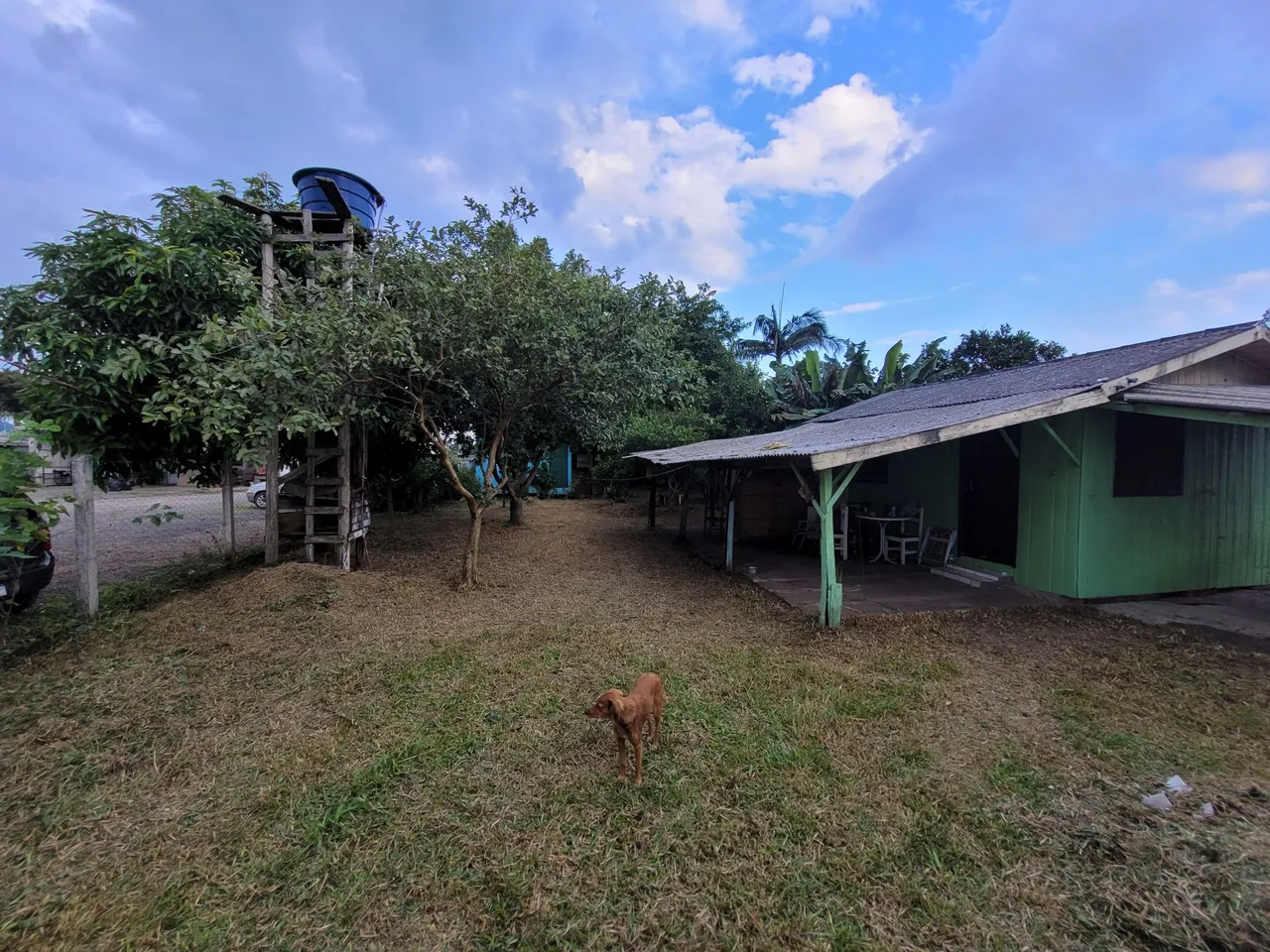 VENDO TERRENO 20X40 EM TERRA DE AREIA