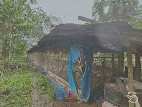 Fazenda/Sítio/Chácara, em Castanhal/PA,  250.000m², BR 316 KM 78, Passando Travessa do 15, - Foto 5