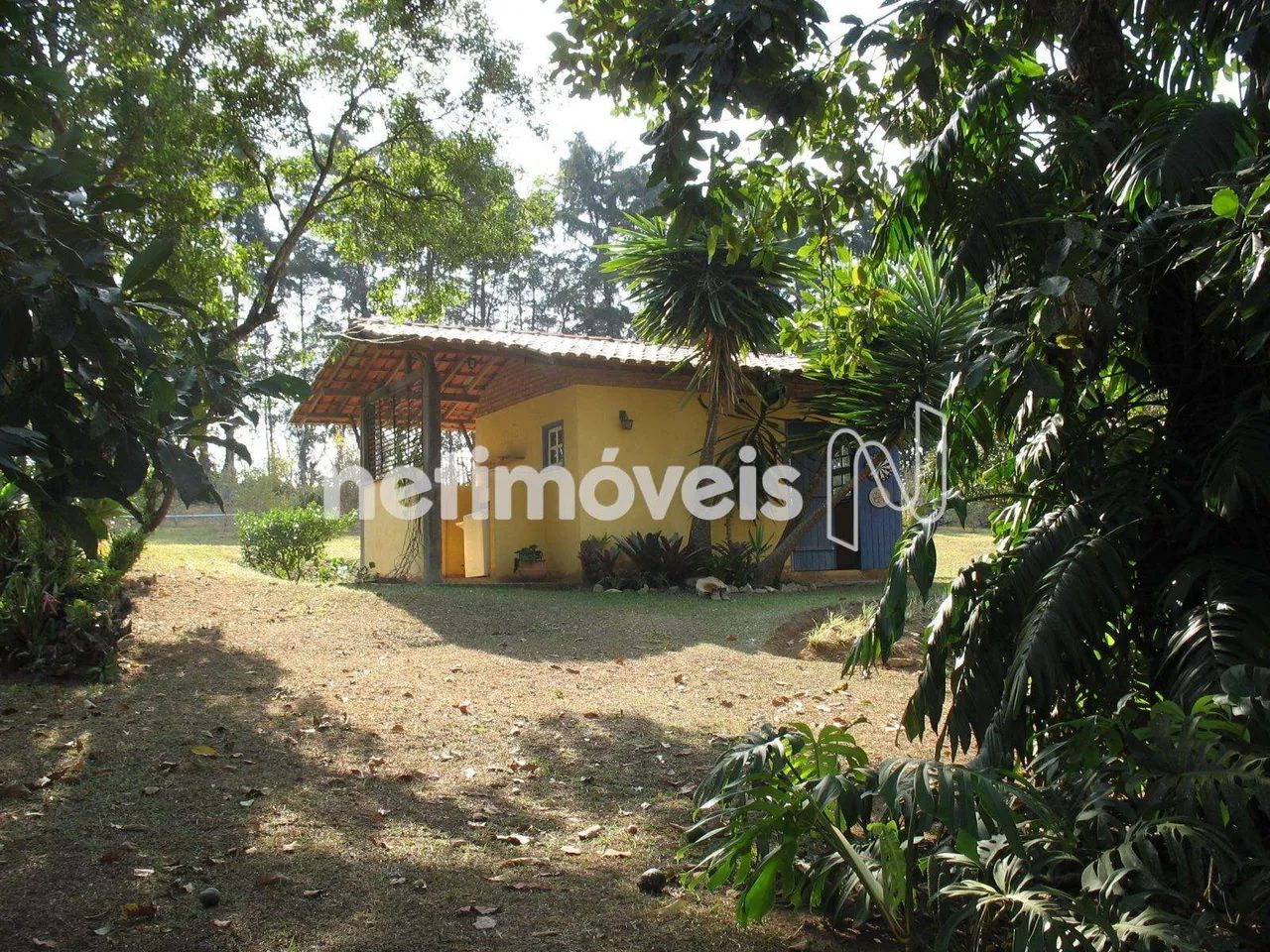 Chácaras à venda em Queluzito! - Foto 3