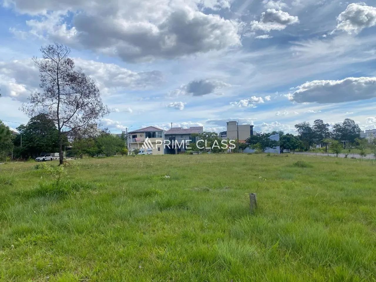 Terreno no Igara - Foto 2