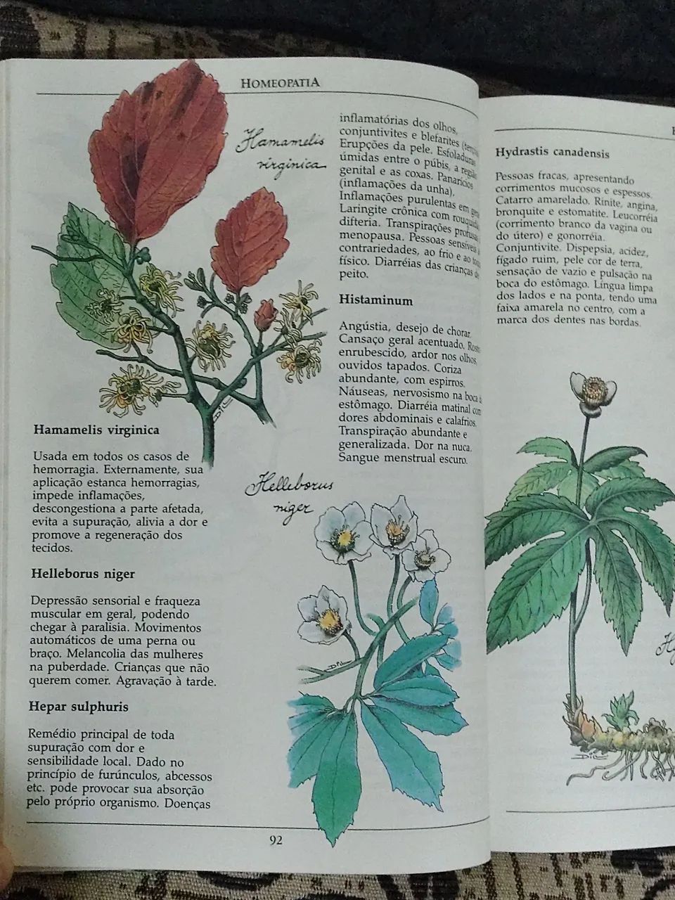 Livro Medicina Natural - Dr. Márcio Bontempo Capa Dura Usado Conservado - Foto 2