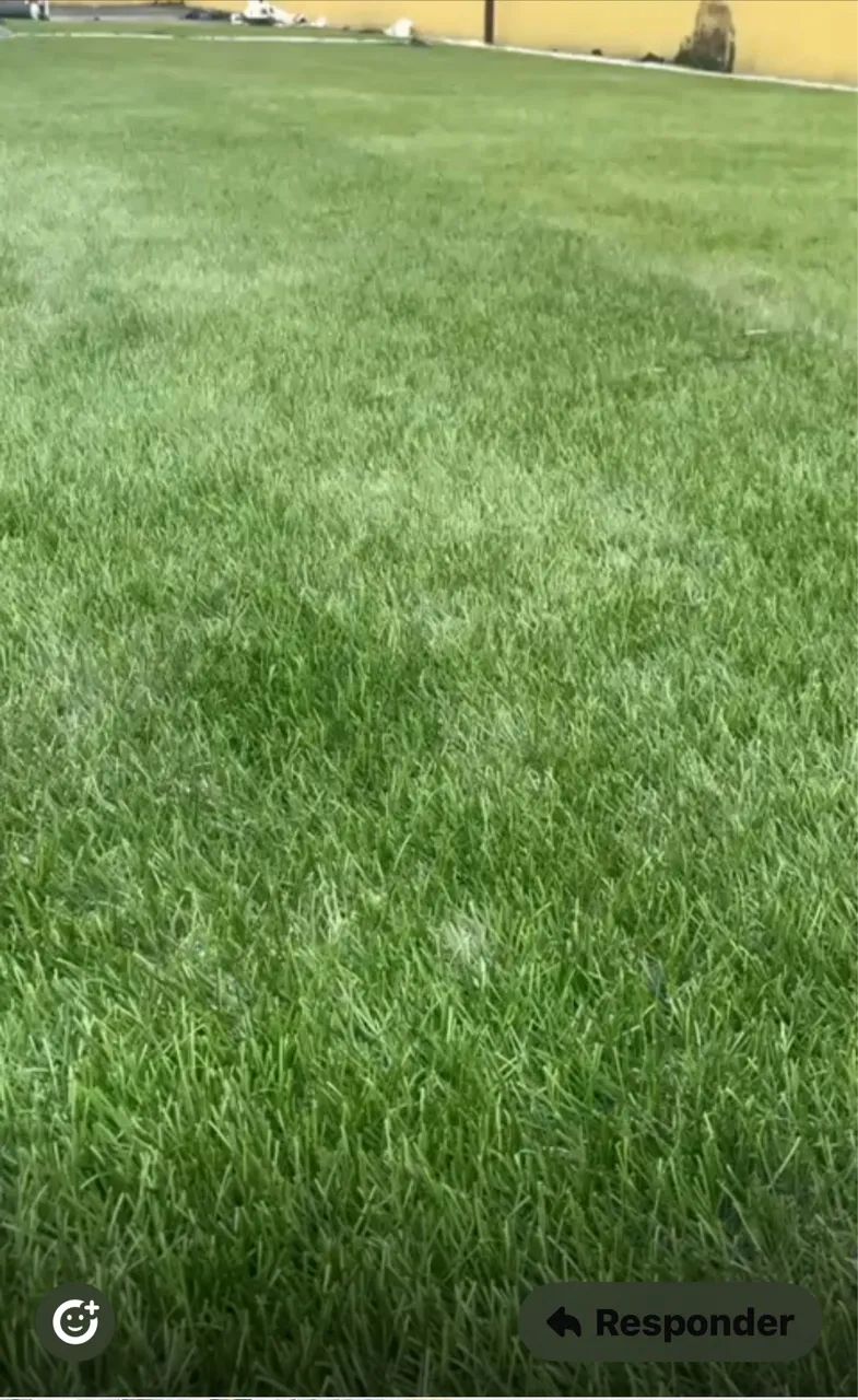 GRAMA SINTÉTICA MONOFILAMENTO  - Foto 2