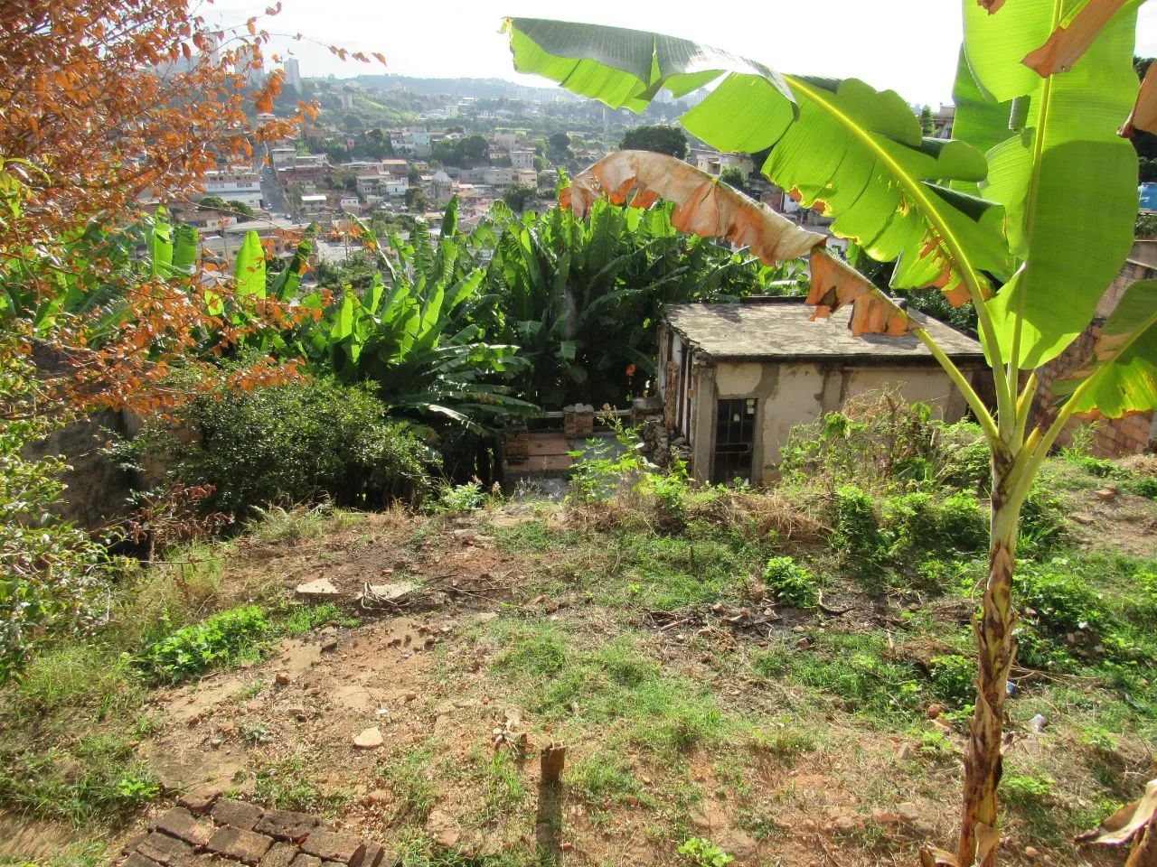 LOTE NO SANTO ANDRE 476M² - Foto 2