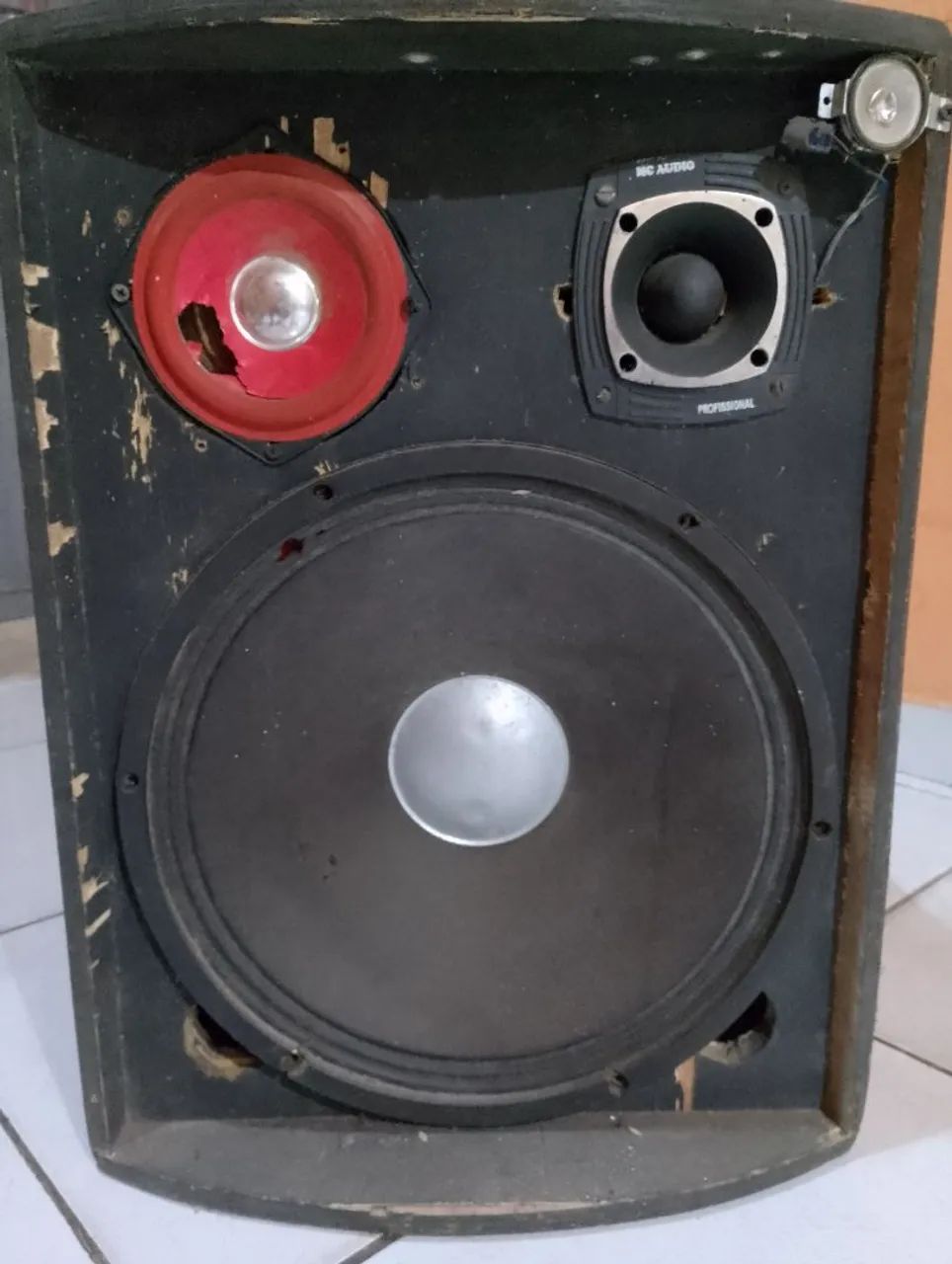 Caixa de Som Profissional R$ 100,00