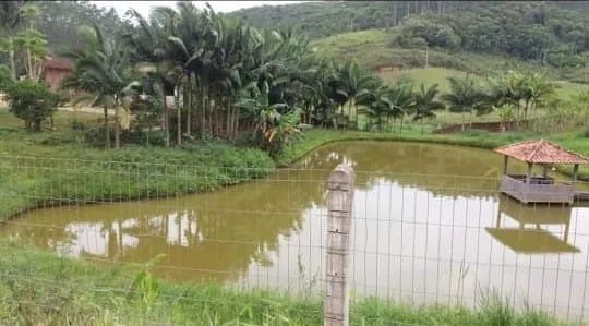 Vendo sítio em Tijuca - Foto 4