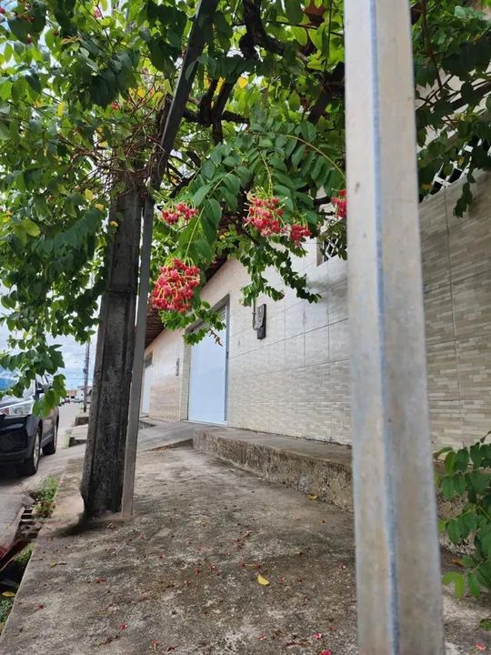 - Casa na Cidade Operaria - Foto 4