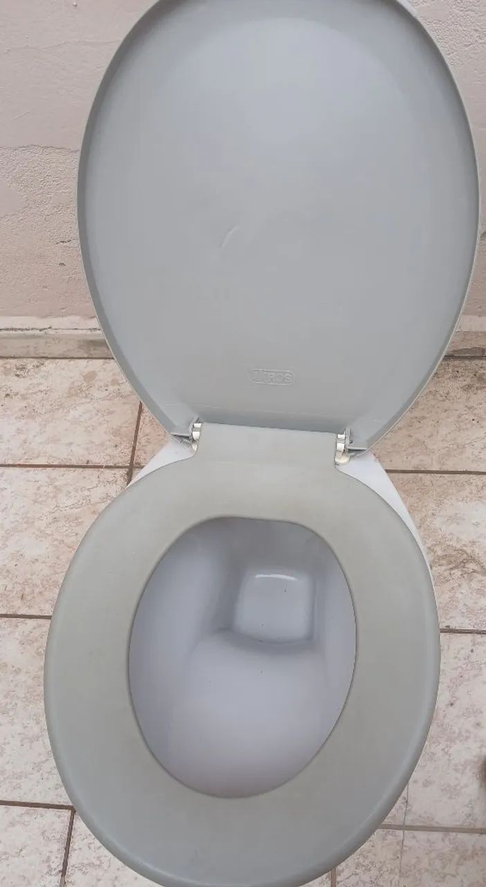 Assento de vaso sanitário  e Pia 