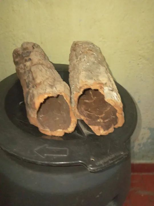 Acessórios naturais para roedores. - Foto 5