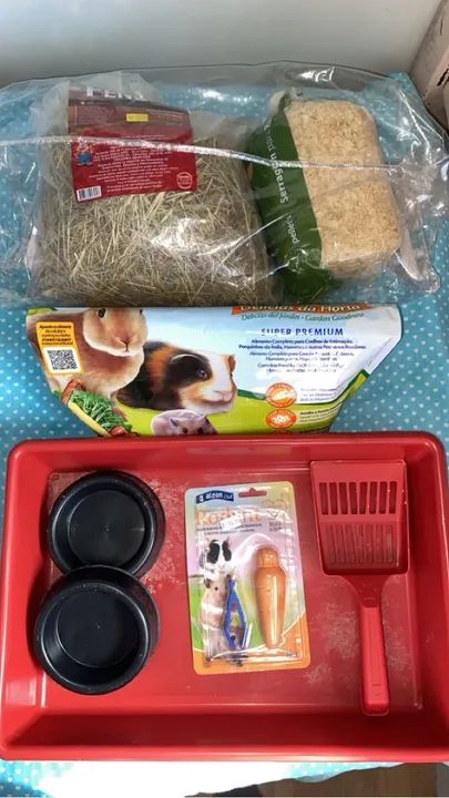 Doando coelho Sansão  - Foto 2