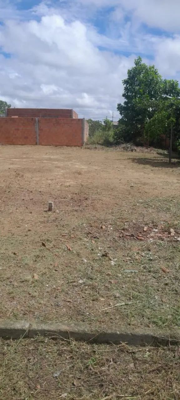 Lote TERRA NOVA BOSQUE  - Foto 4