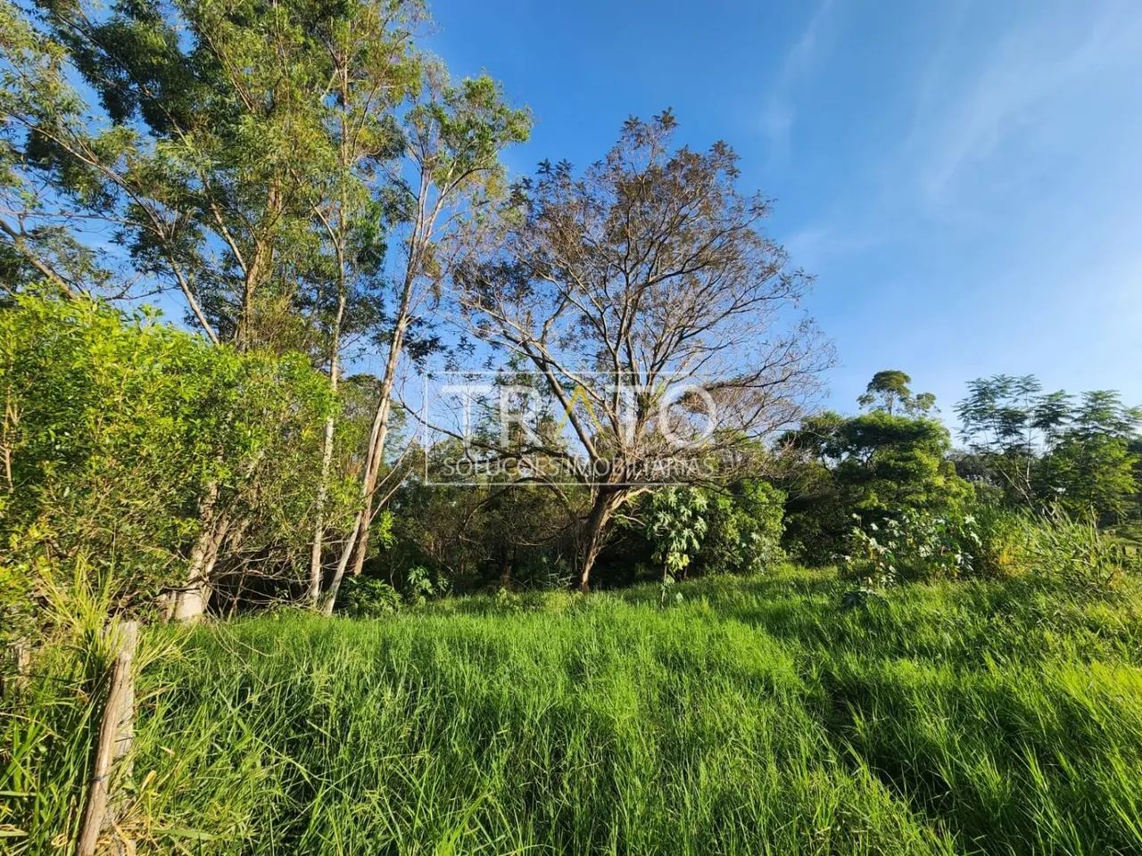 terreno - Carlos Gomes - Campinas - Foto 4