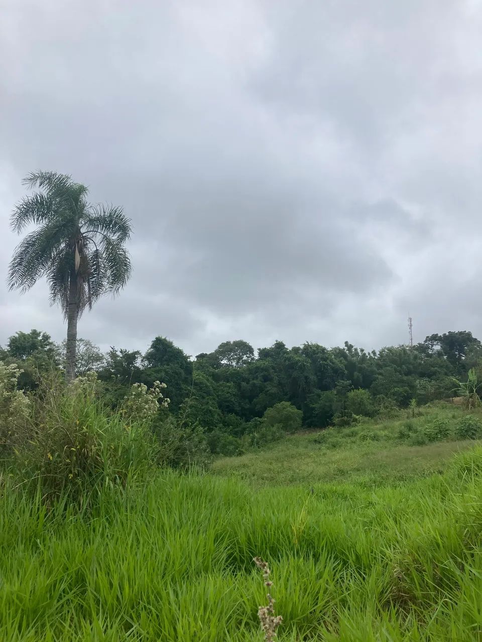 Vendo terrenos em fazenda vila nova  - Foto 3