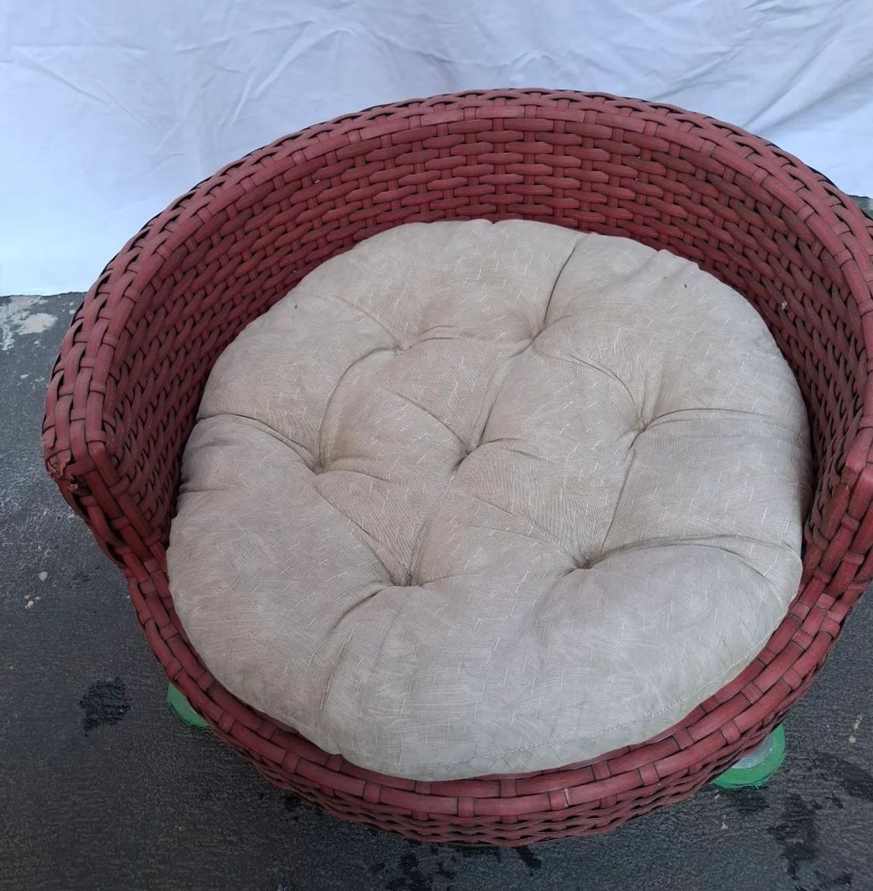 Cama de caozinho  - Foto 2