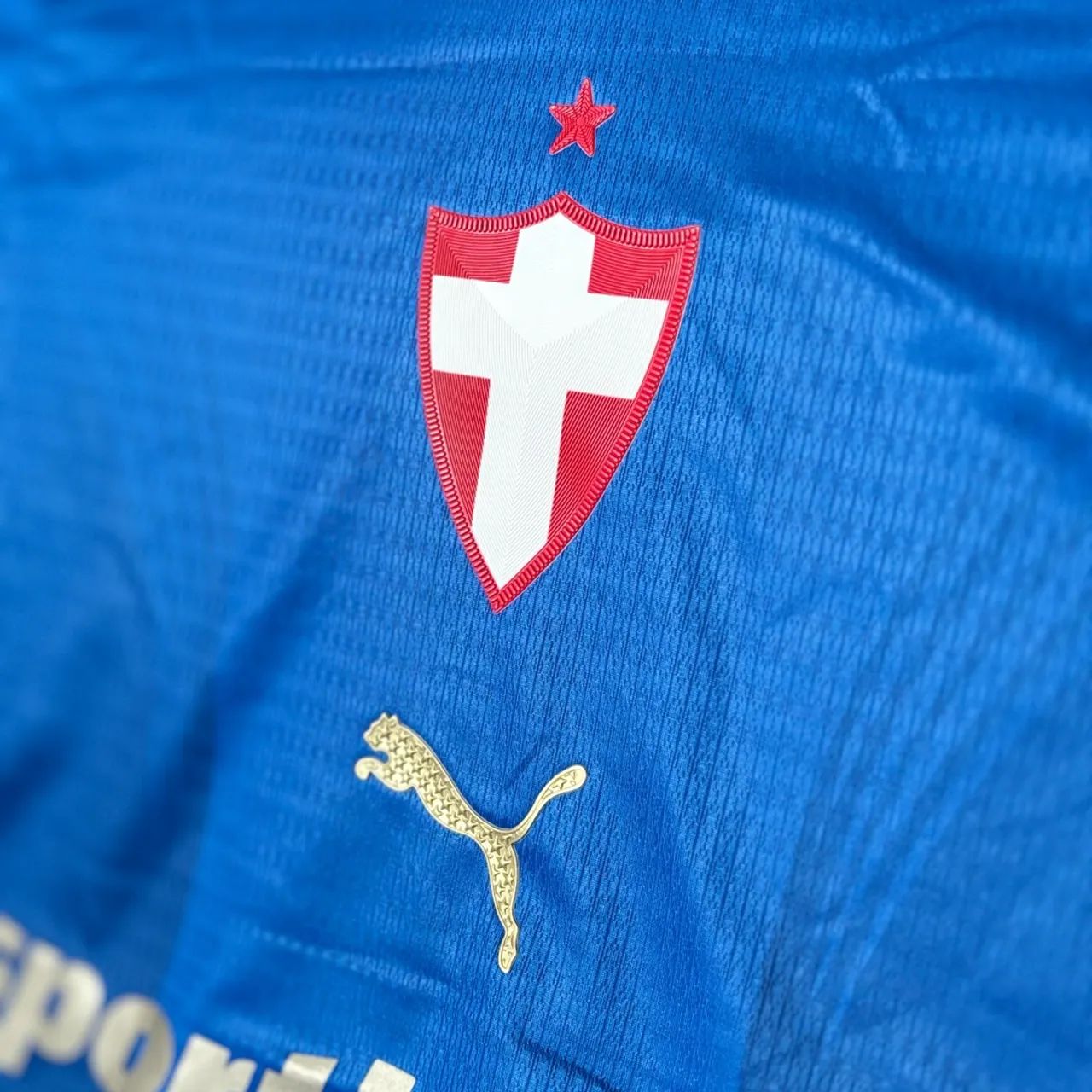 Camisa Palmeiras 2026 - Foto 2