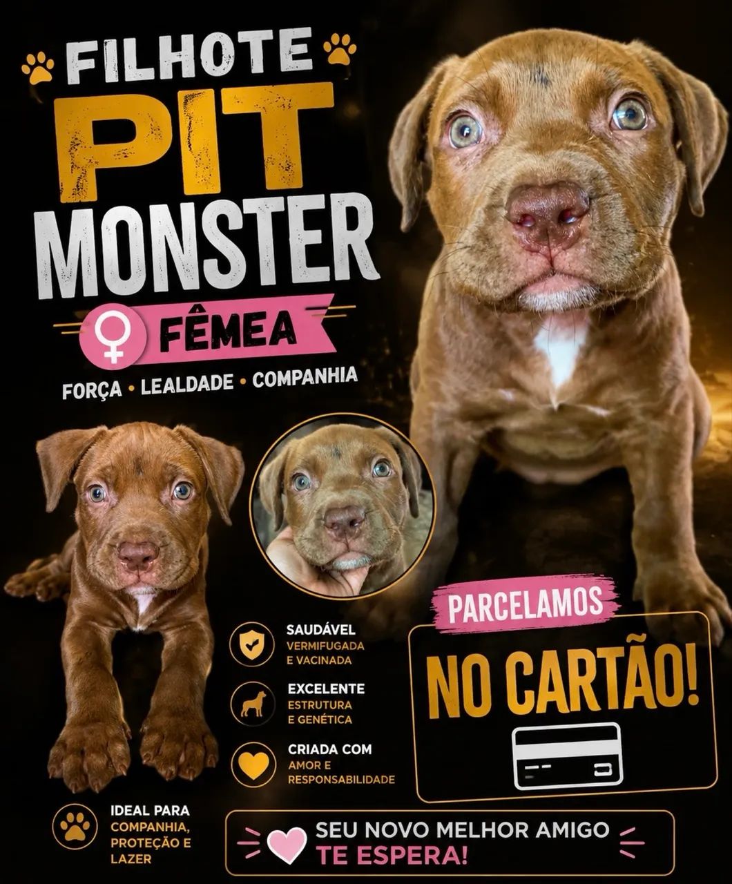 Pit monster  - Foto 2