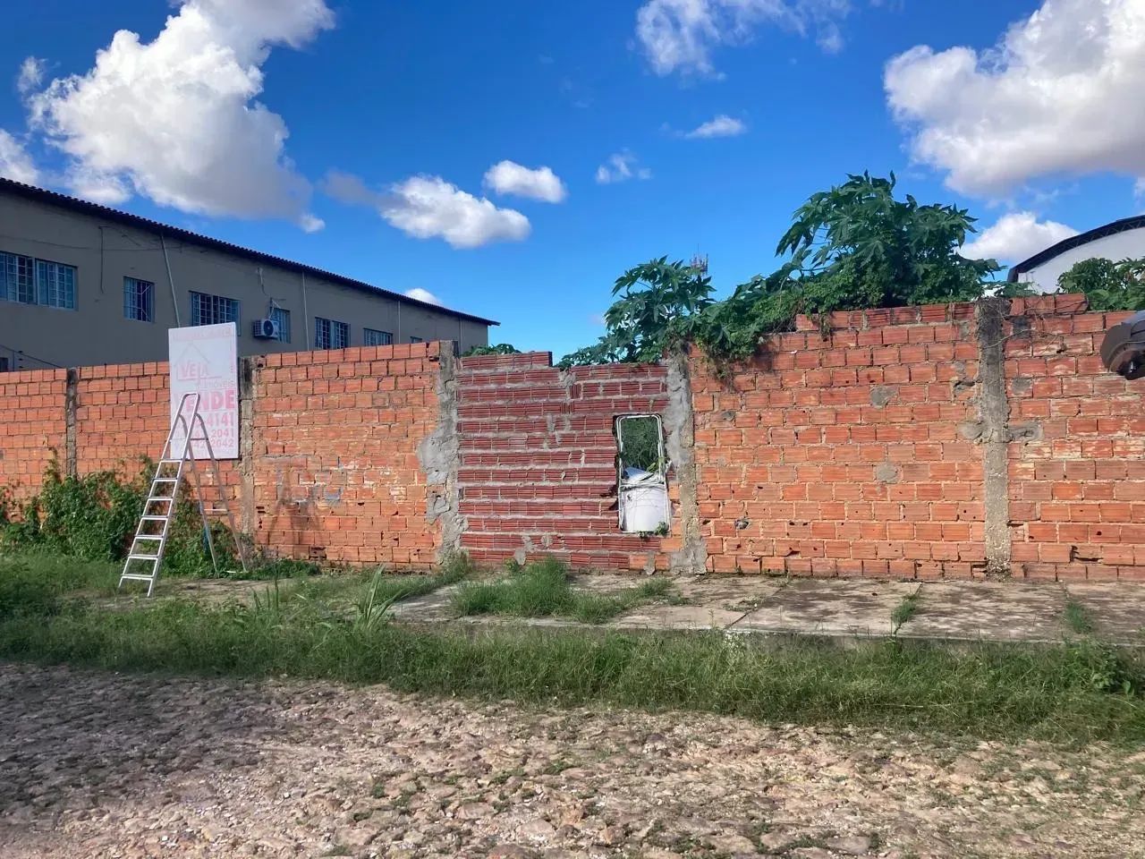 LOTE/TERRENO - Foto 2