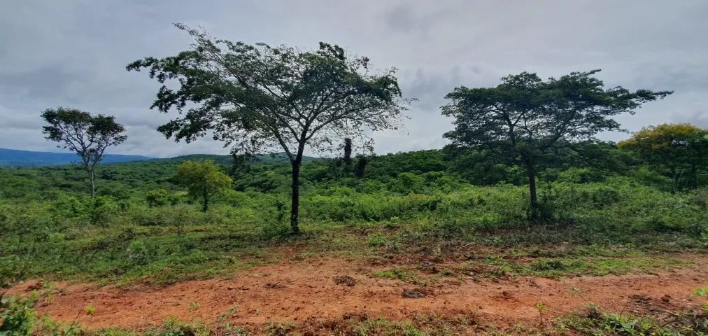 Foto - Montes Claros - Centro