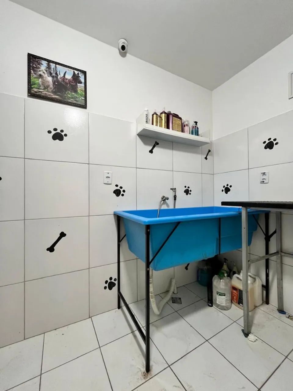 PET SHOP - BANHO E TOSA - Foto 5