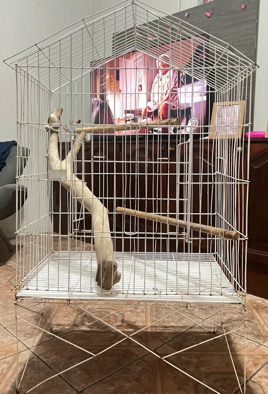 Viveiro65093397027331120