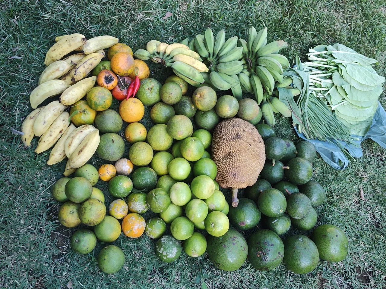 Vende se Uma Chácara.