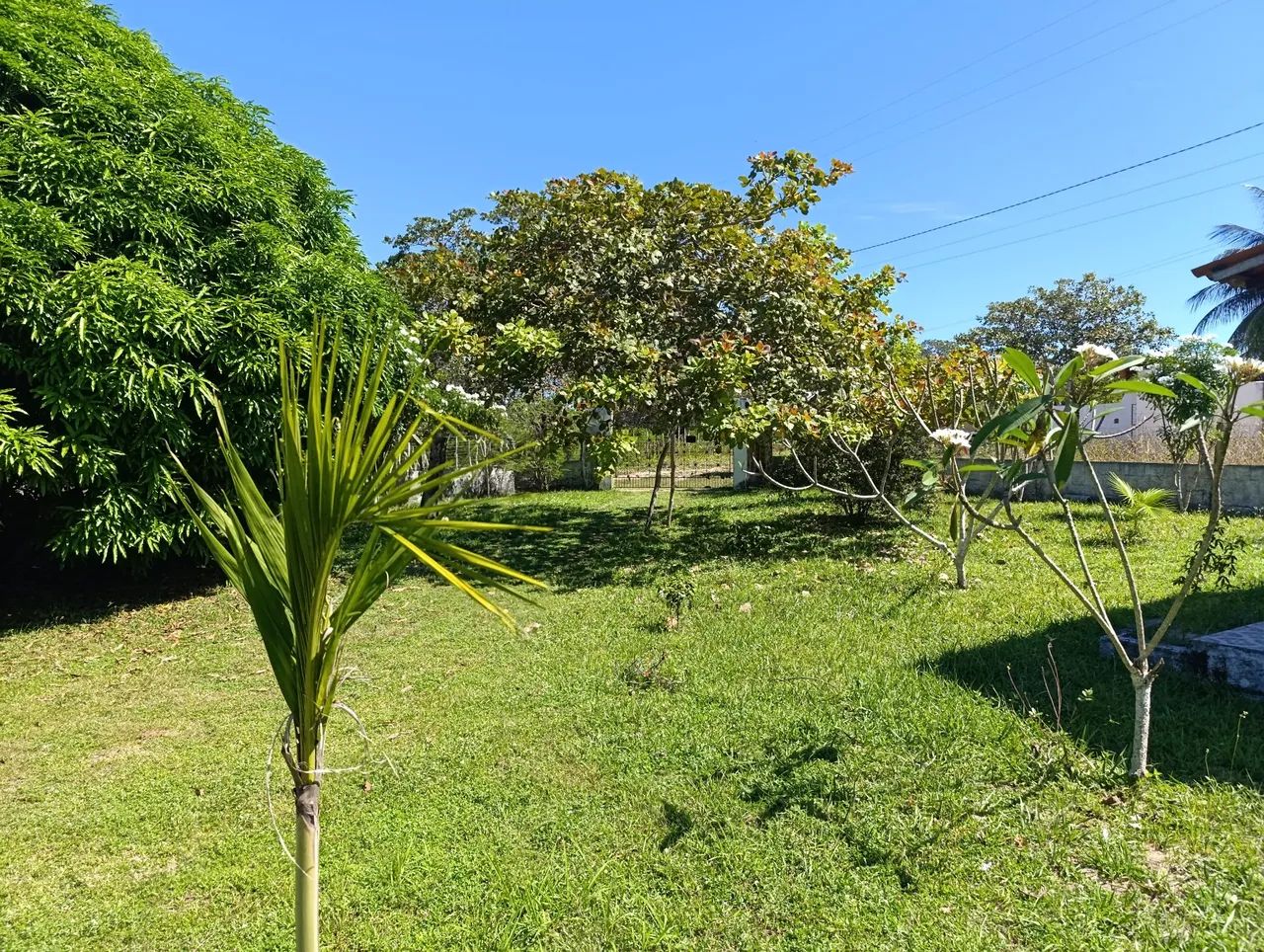 VENDO LINDO SÍTIO  2 HECTARES NA LAGOA DO INÁCIO  - Foto 2