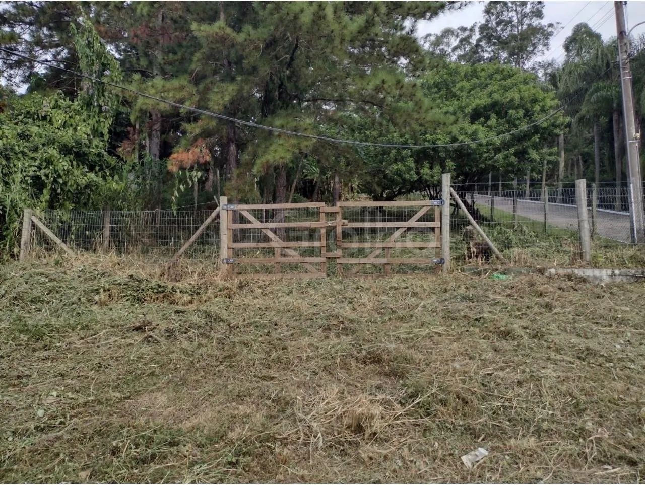 Terreno com viabilidade na avenida principal do Córrego Grande - Florianópolis/SC - Foto 5