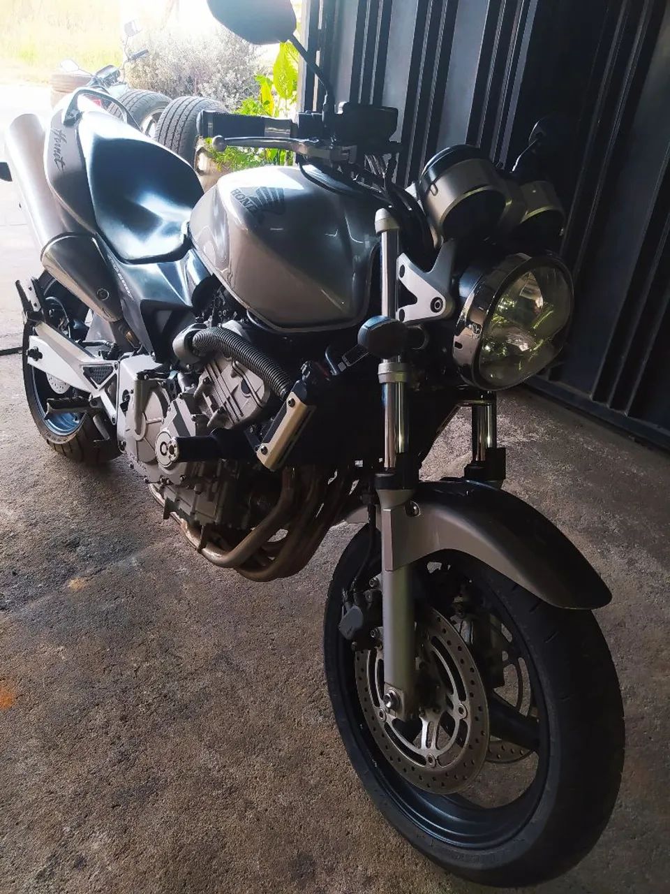 Hornet carburada 