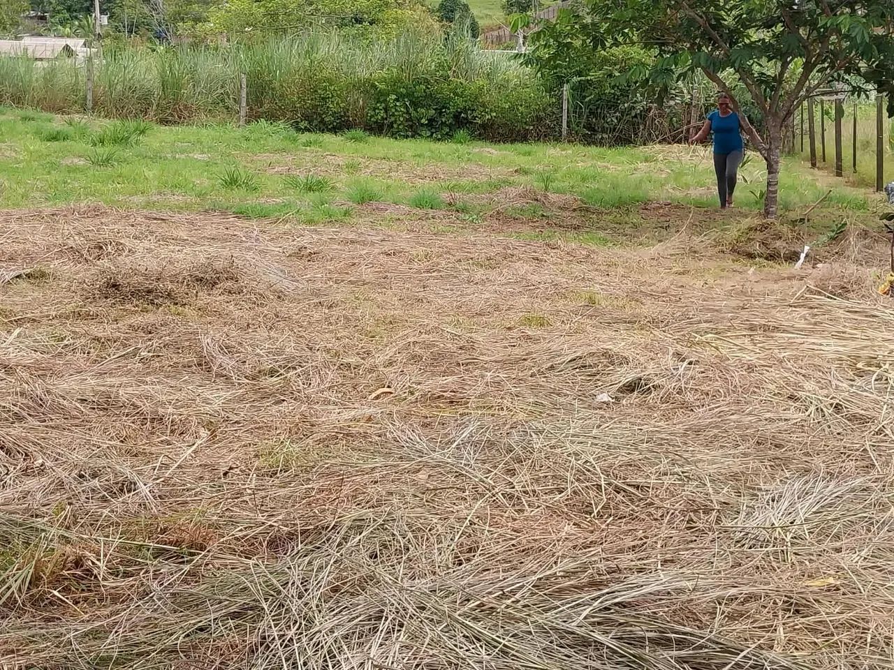 Terreno 35x20  - Foto 3