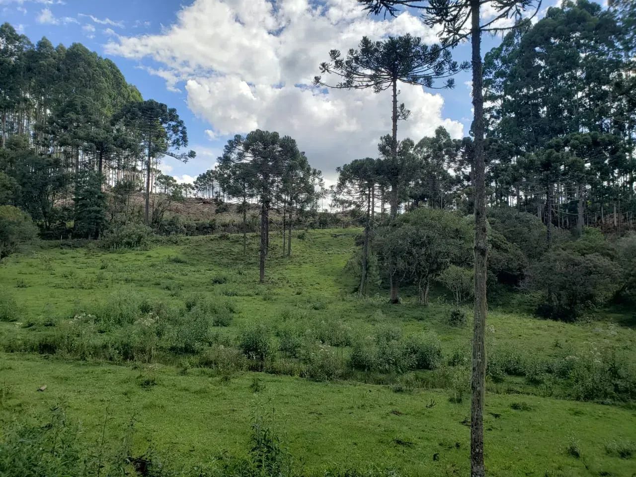 Terreno Próximo à Cidade com Rio nos Fundos - Foto 2