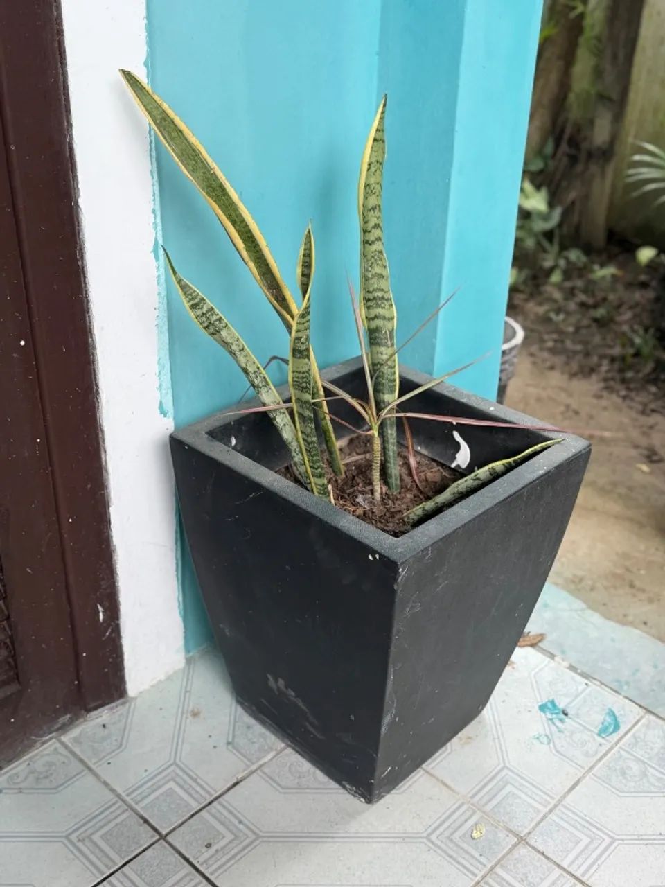 Vaso de planta 