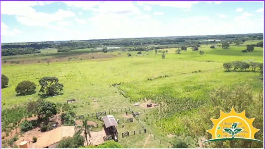 Fazenda 97 hectares - Foto 4