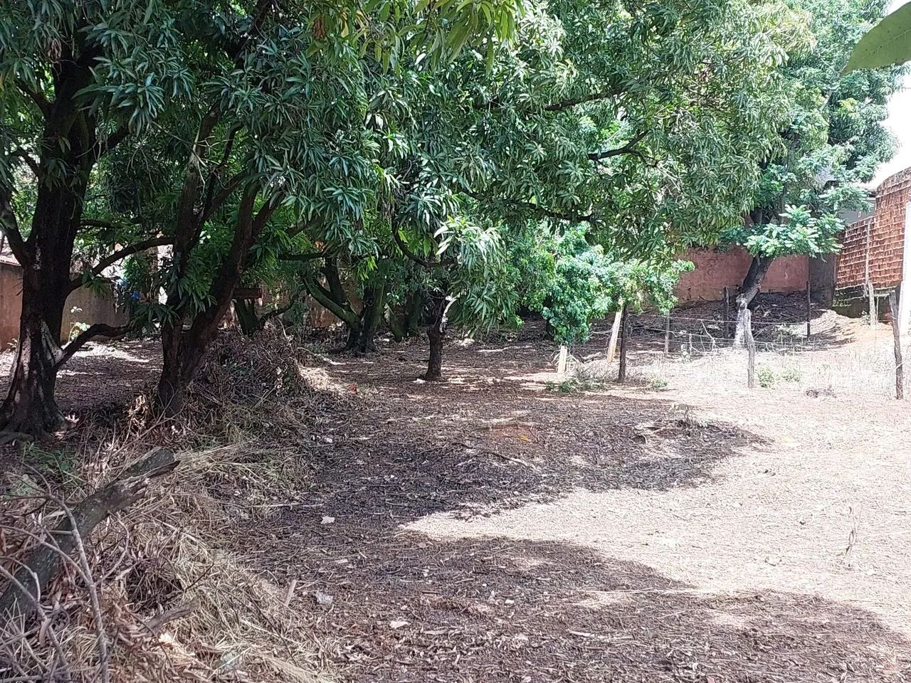 VENDE-SE LOTE - Foto 2