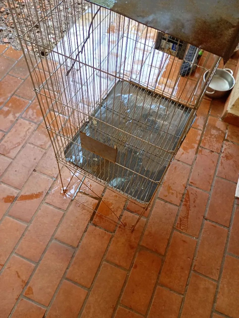Gaiola para periquito e calopsita  - Foto 3