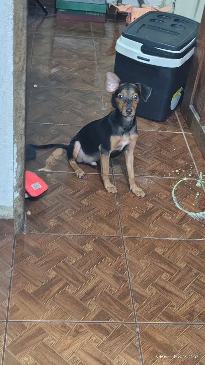 Doação 
