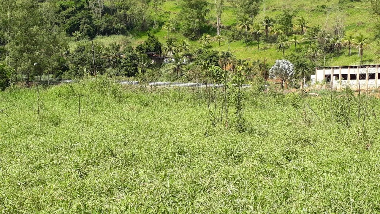 Excelente Propriedade Rural  - Foto 4