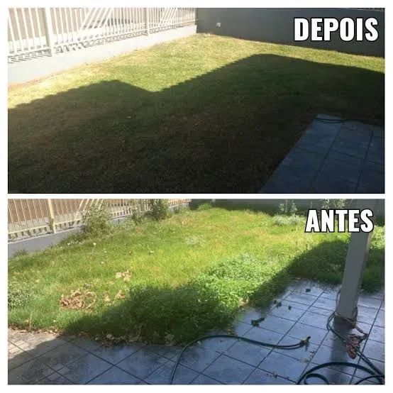 Corte de Grama e Jardinagem  - Foto 2