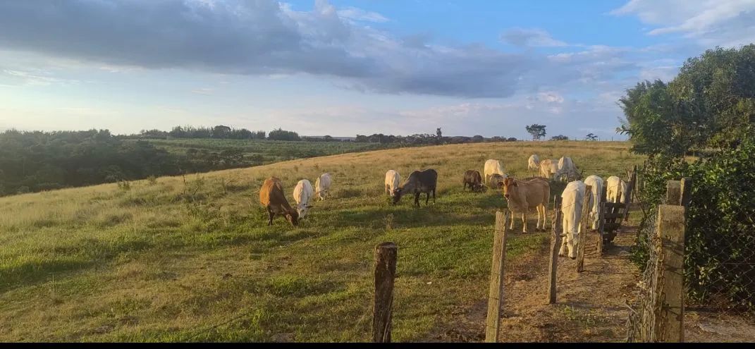 Sítio a venda em Charqueada sp - Foto 5