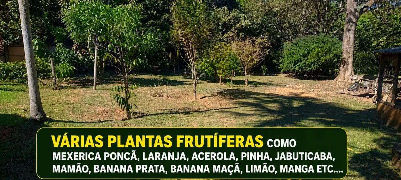 Vendo uma linda chácara  - Foto 2