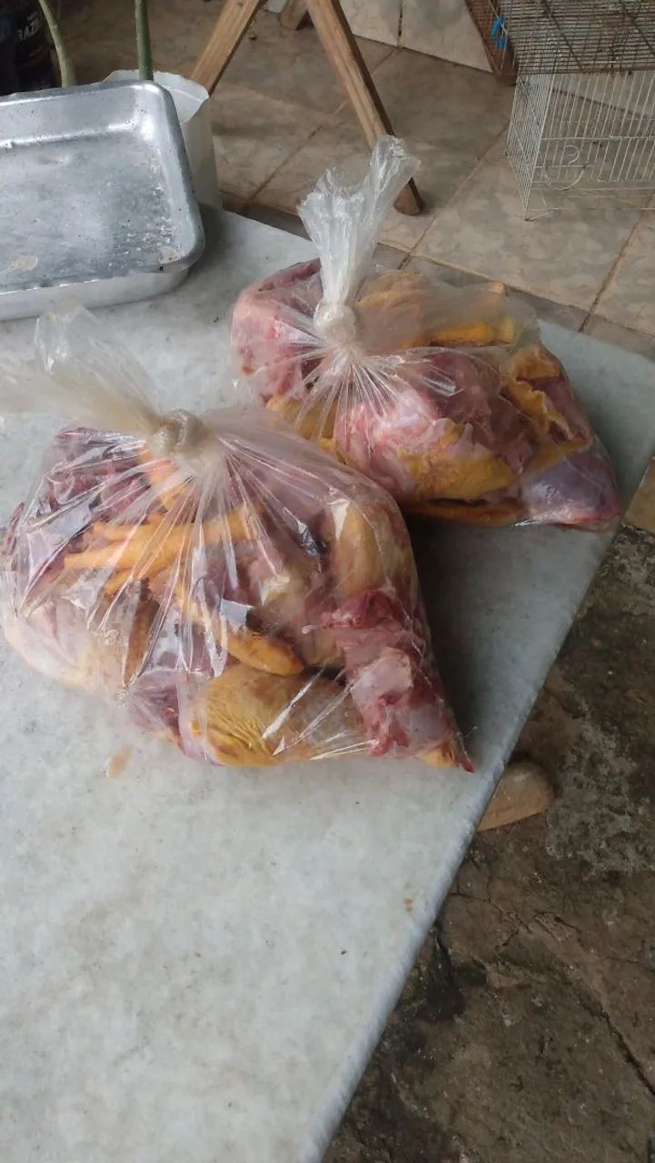 Galinha caipira boa 