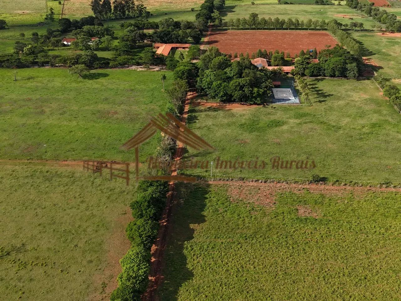 Haras na região de Cesário Lange-SP - Foto 2