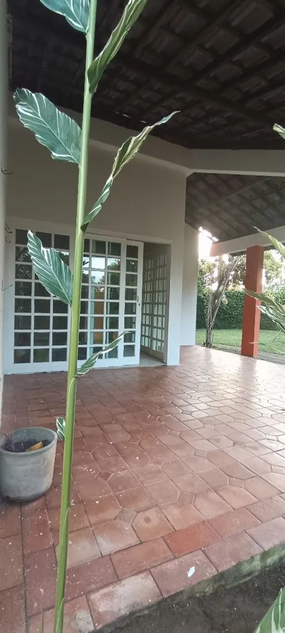 Vendo ou Alugo Casa km 9,5 de Aldeia  - Foto 4