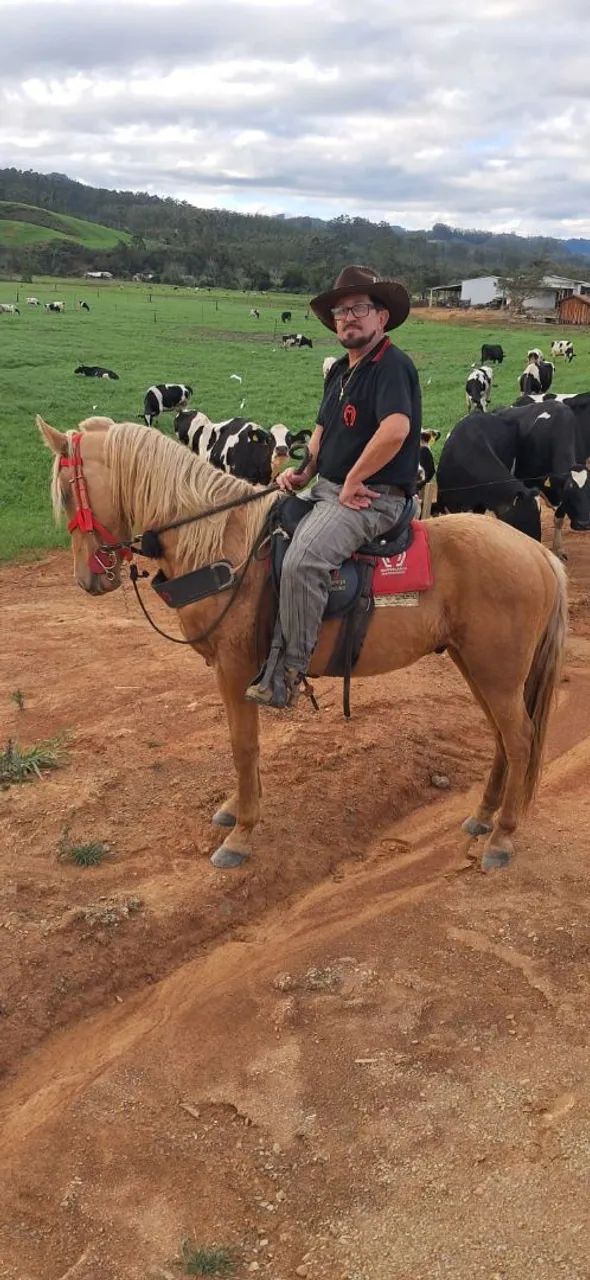 Cavalo QM com Campeiro 