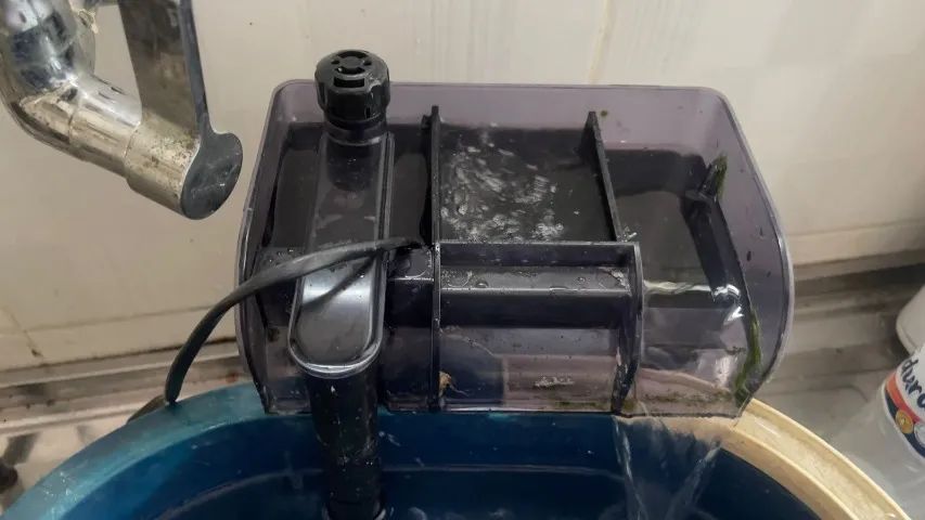 Filtro Skimmer Dophin 110V/60HZ REF PS2012 - Foto 3