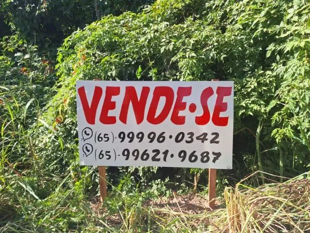 Terreno