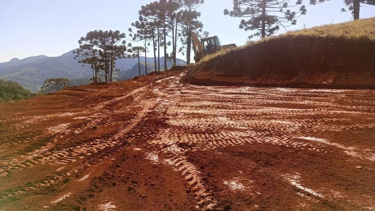 Área à Venda - Luminosa/MG - Foto 2
